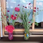 Moierhof مزرعة للإقامة *
