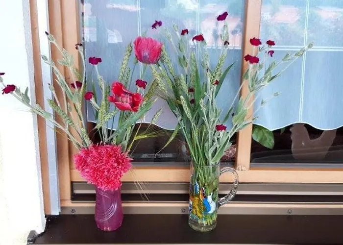 Moierhof Lantgård *